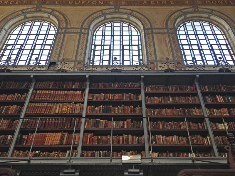 Inside The Library 