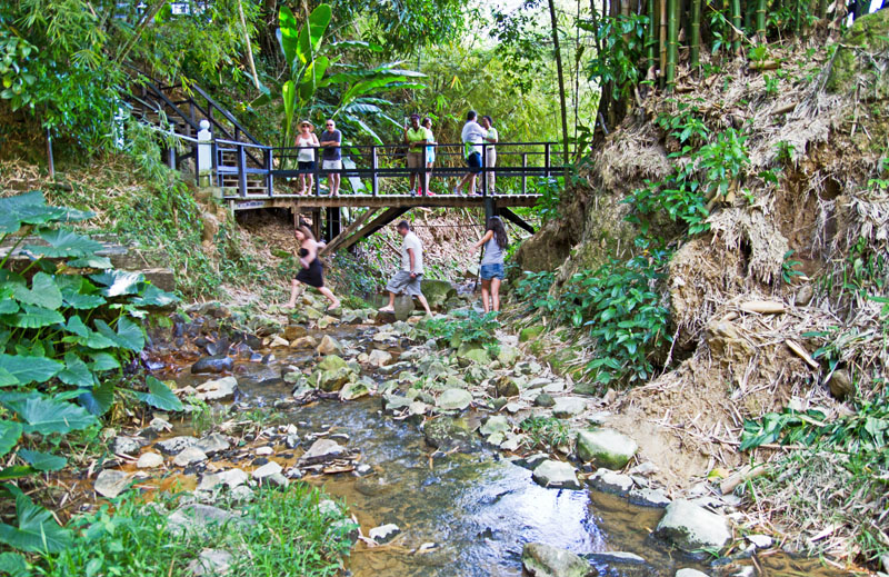 Sulphur Spring River