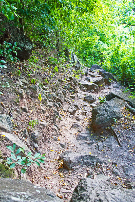 Gros Piton Hike